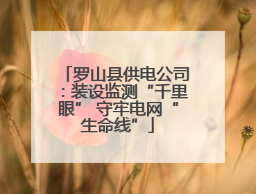罗山县供电公司：装设监测“千里眼” 守牢电网“生命线”
