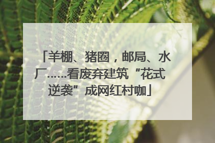 羊棚、猪圈，邮局、水厂……看废弃建筑“花式逆袭”成网红村咖