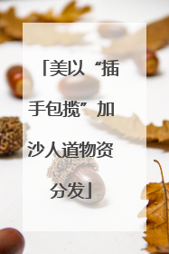 美以“插手包揽”加沙人道物资分发