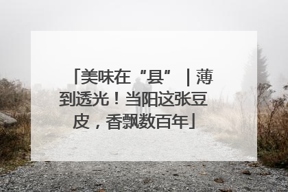 美味在“县”｜薄到透光！当阳这张豆皮，香飘数百年