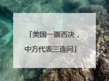 美国一票否决，中方代表三连问