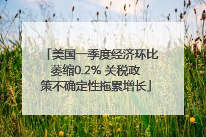 美国一季度经济环比萎缩0.2% 关税政策不确定性拖累增长