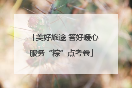 美好旅途 答好暖心服务“粽”点考卷