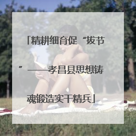 精耕细育促“拔节”——孝昌县思想铸魂锻造实干精兵