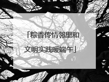 粽香传情邻里和 文明实践暖端午