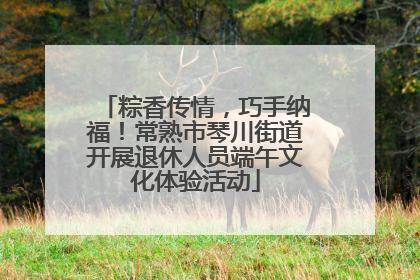 粽香传情，巧手纳福！常熟市琴川街道开展退休人员端午文化体验活动