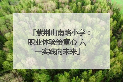 紫荆山南路小学：职业体验绘童心 六一实践向未来
