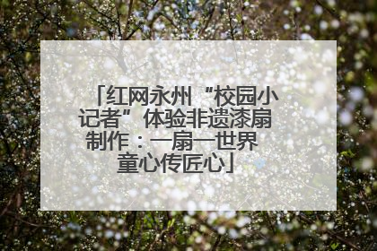 红网永州“校园小记者”体验非遗漆扇制作：一扇一世界 童心传匠心