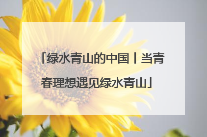 绿水青山的中国丨当青春理想遇见绿水青山