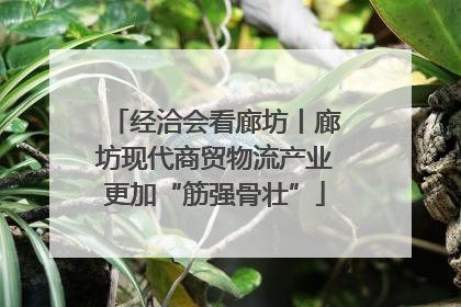 经洽会看廊坊丨廊坊现代商贸物流产业更加“筋强骨壮”