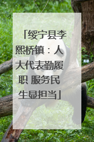 绥宁县李熙桥镇：人大代表勤履职 服务民生显担当
