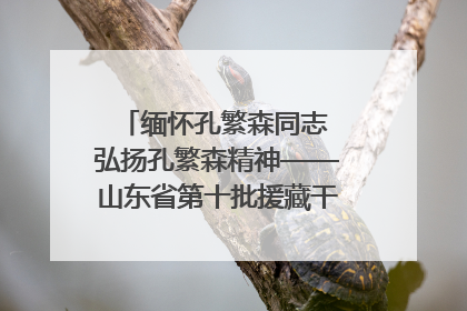 缅怀孔繁森同志 弘扬孔繁森精神——山东省第十批援藏干部人才清明节前到岗巴县开展党性教育