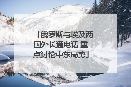 俄罗斯与埃及两国外长通电话 重点讨论中东局势