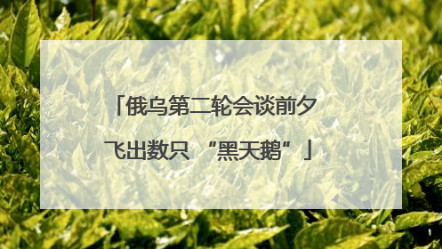 俄乌第二轮会谈前夕 飞出数只 “黑天鹅”