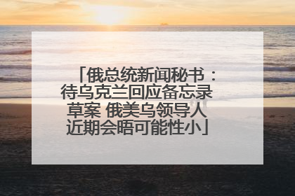 俄总统新闻秘书：待乌克兰回应备忘录草案 俄美乌领导人近期会晤可能性小