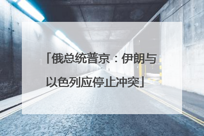 俄总统普京：伊朗与以色列应停止冲突