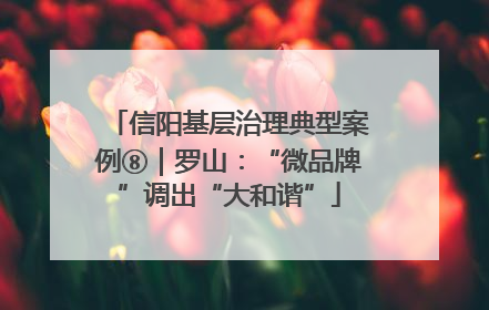 信阳基层治理典型案例⑧｜罗山：“微品牌”调出“大和谐”