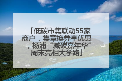 低碳市集联动55家商户，集章换券享优惠，杨浦“减碳嘉年华”周末亮相大学路