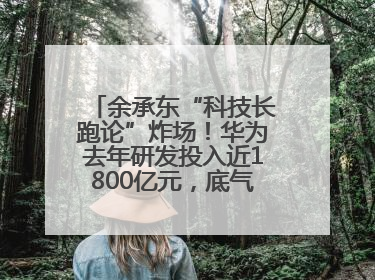 余承东“科技长跑论”炸场！华为去年研发投入近1800亿元，底气何在？