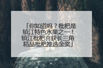 你知道吗？枇杷是镇江特色水果之一！镇江枇杷喜获长三角精品枇杷推选金奖