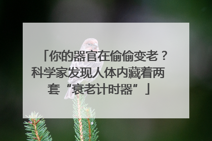 你的器官在偷偷变老？科学家发现人体内藏着两套“衰老计时器”