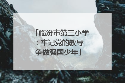 临汾市第三小学：牢记党的教导 争做强国少年