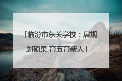 临汾市东关学校：展规划硕果 育五育新人