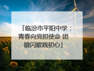 临汾市平阳中学：青春向党担使命 团徽闪耀践初心