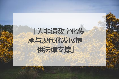 为非遗数字化传承与现代化发展提供法律支撑