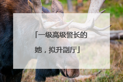 一级高级警长的她，拟升副厅