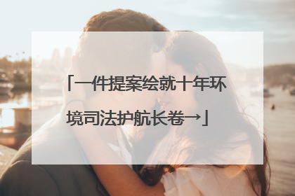 一件提案绘就十年环境司法护航长卷→