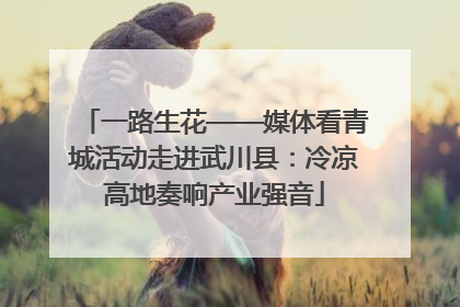 一路生花——媒体看青城活动走进武川县：冷凉高地奏响产业强音