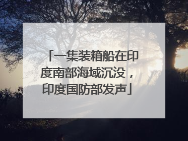 一集装箱船在印度南部海域沉没，印度国防部发声