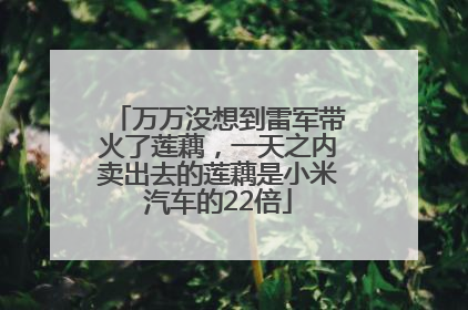 万万没想到雷军带火了莲藕，一天之内卖出去的莲藕是小米汽车的22倍
