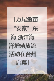 万尾鱼苗“安家”东海 浙江海洋增殖放流活动在台州启幕