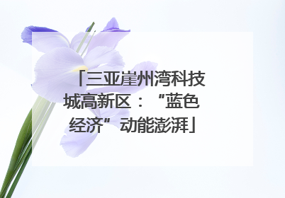 三亚崖州湾科技城高新区：“蓝色经济”动能澎湃