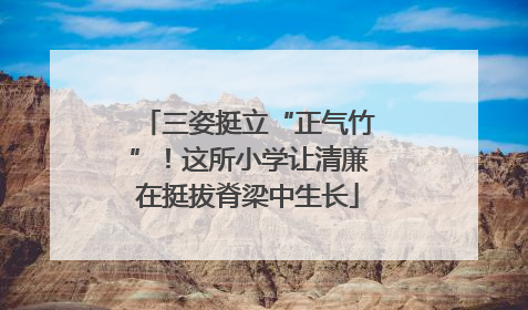三姿挺立“正气竹”！这所小学让清廉在挺拔脊梁中生长