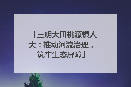 三明大田桃源镇人大：推动河流治理，筑牢生态屏障