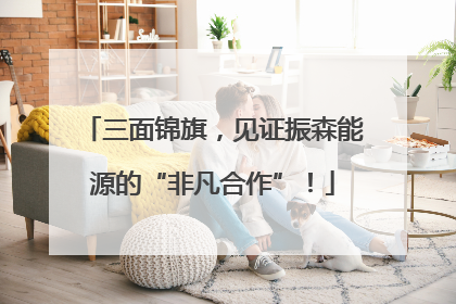 三面锦旗，见证振森能源的“非凡合作”！