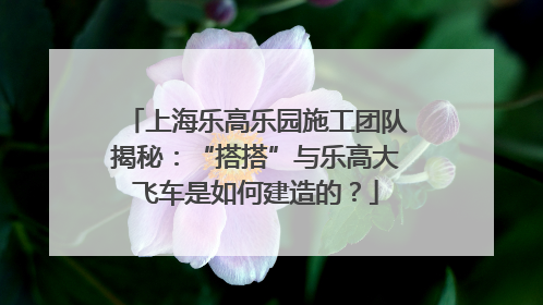 上海乐高乐园施工团队揭秘：“搭搭”与乐高大飞车是如何建造的？