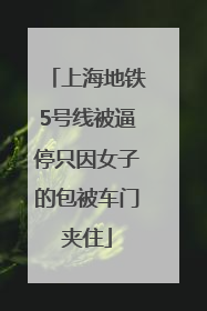 上海地铁5号线被逼停只因女子的包被车门夹住