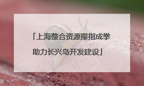 上海整合资源攥指成拳助力长兴岛开发建设