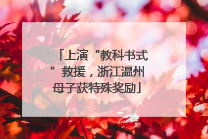 上演“教科书式”救援，浙江温州母子获特殊奖励