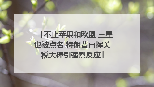 不止苹果和欧盟 三星也被点名 特朗普再挥关税大棒引强烈反应