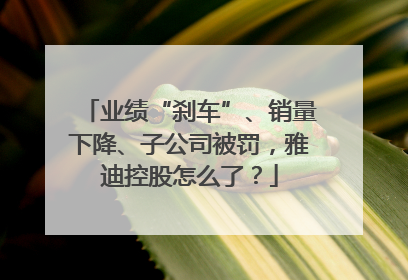 业绩“刹车”、销量下降、子公司被罚，雅迪控股怎么了？