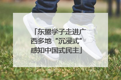 东盟学子走进广西多地“沉浸式”感知中国式民主