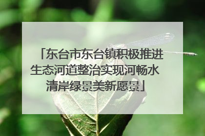 东台市东台镇积极推进生态河道整治实现河畅水清岸绿景美新愿景