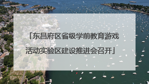 东昌府区省级学前教育游戏活动实验区建设推进会召开