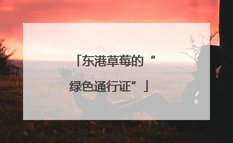 东港草莓的“绿色通行证”