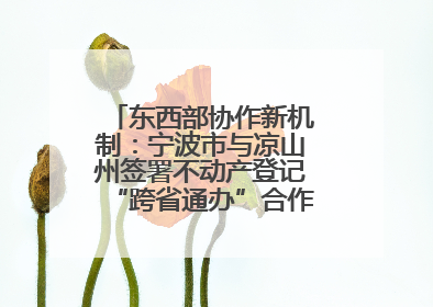 东西部协作新机制：宁波市与凉山州签署不动产登记“跨省通办”合作框架协议